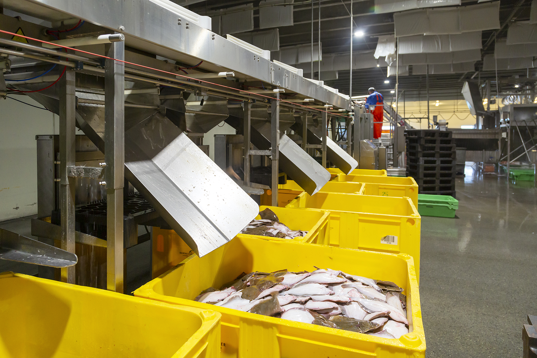 Fiskeauktion 15A4037 Web