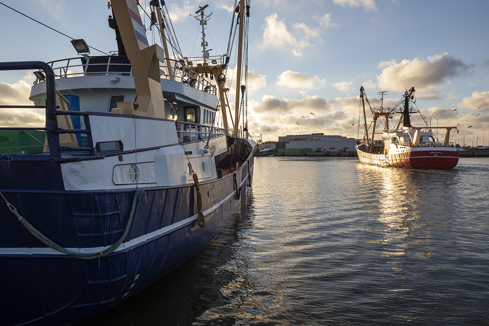 Transit Fisheries Diverse 15A4110 Web