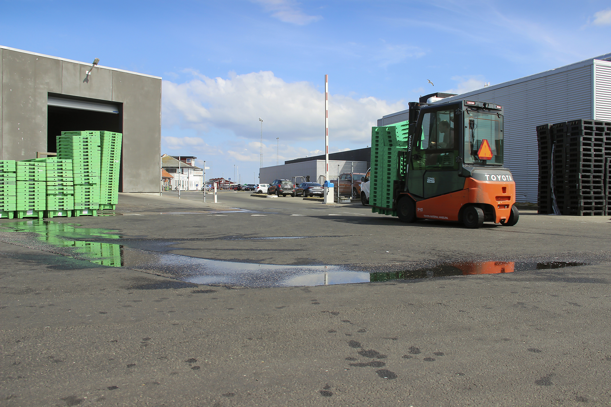 Kassevaskehal 6363 Web