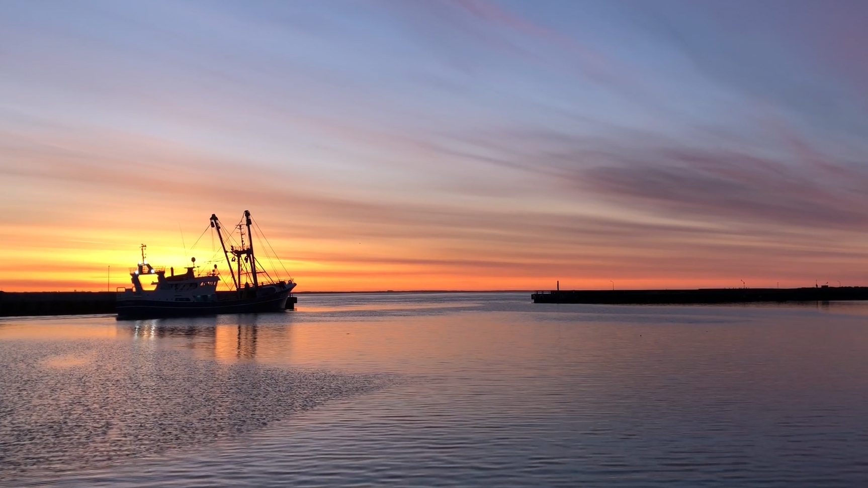 Transit_Fisheries_Morning_Sun_3422