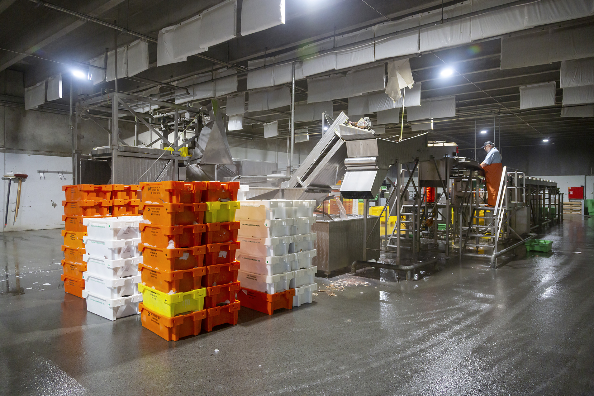 Fiskeauktion 15A4084 Web