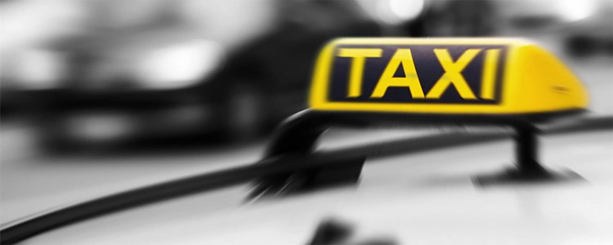 Taxa