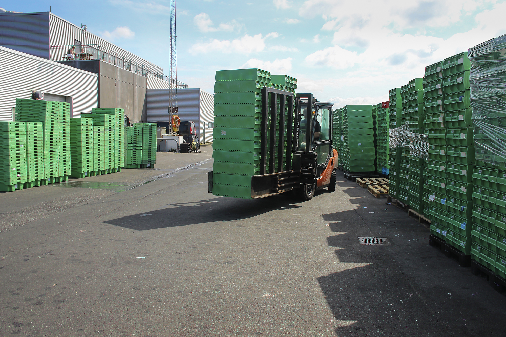 Kassevaskehal 6352 Web