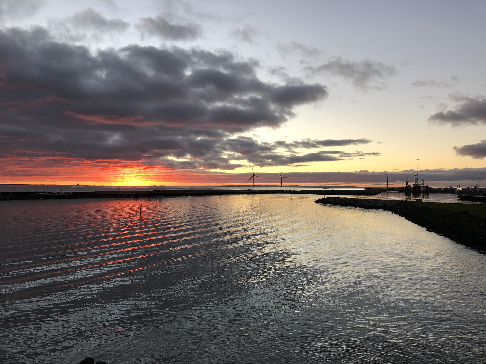 Weather 3094 Web