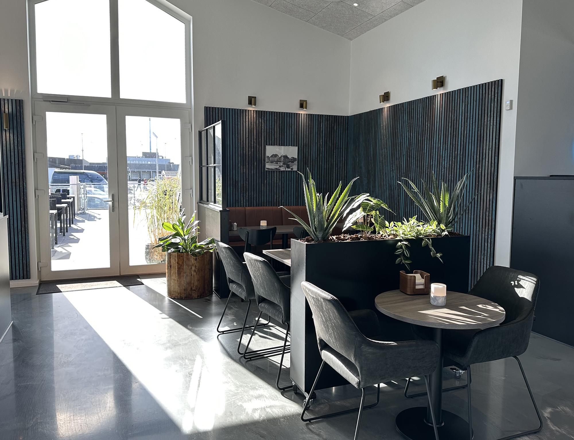 Cafe Sus 6660 Web