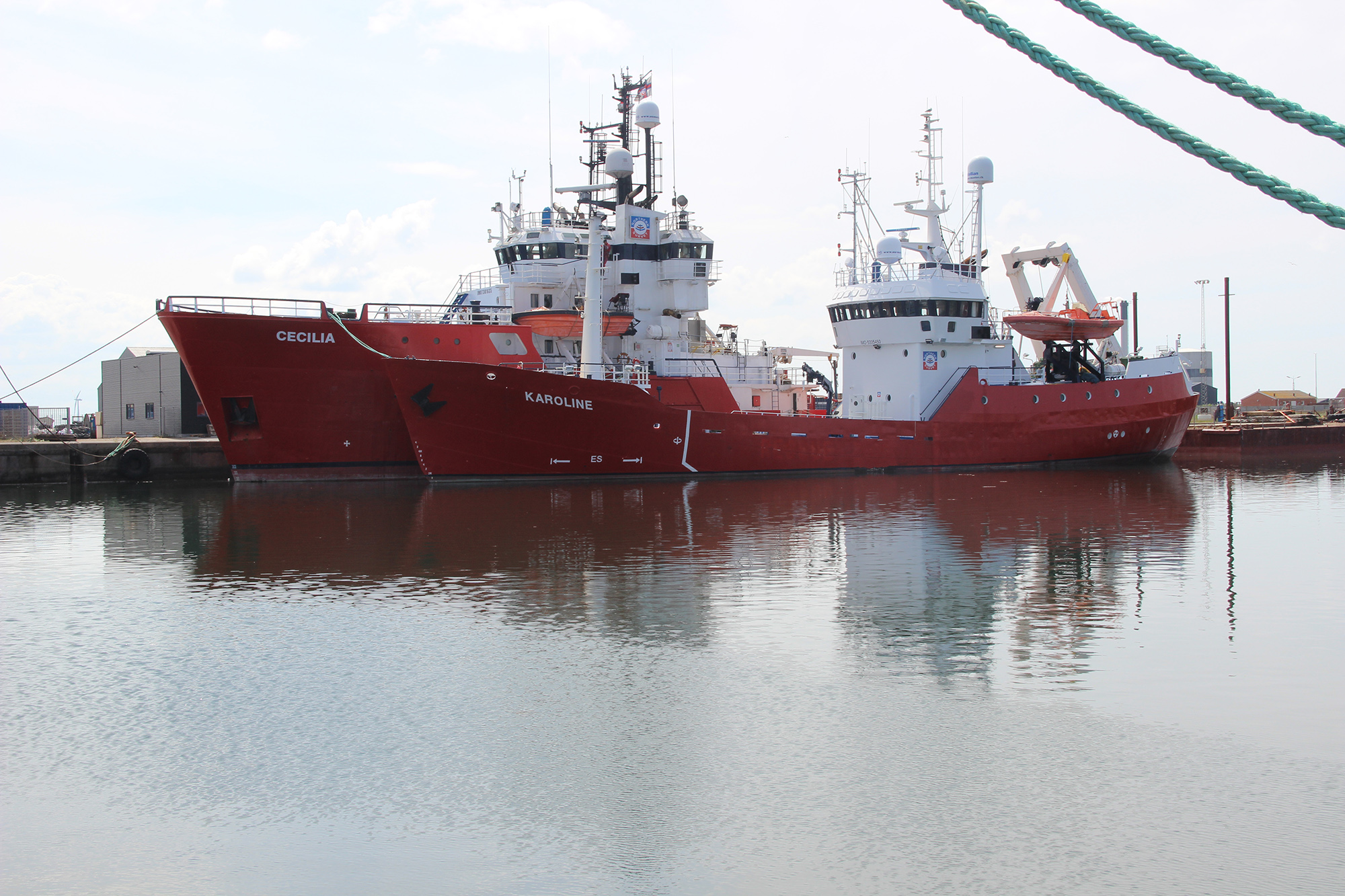 Offshore 6554 Web