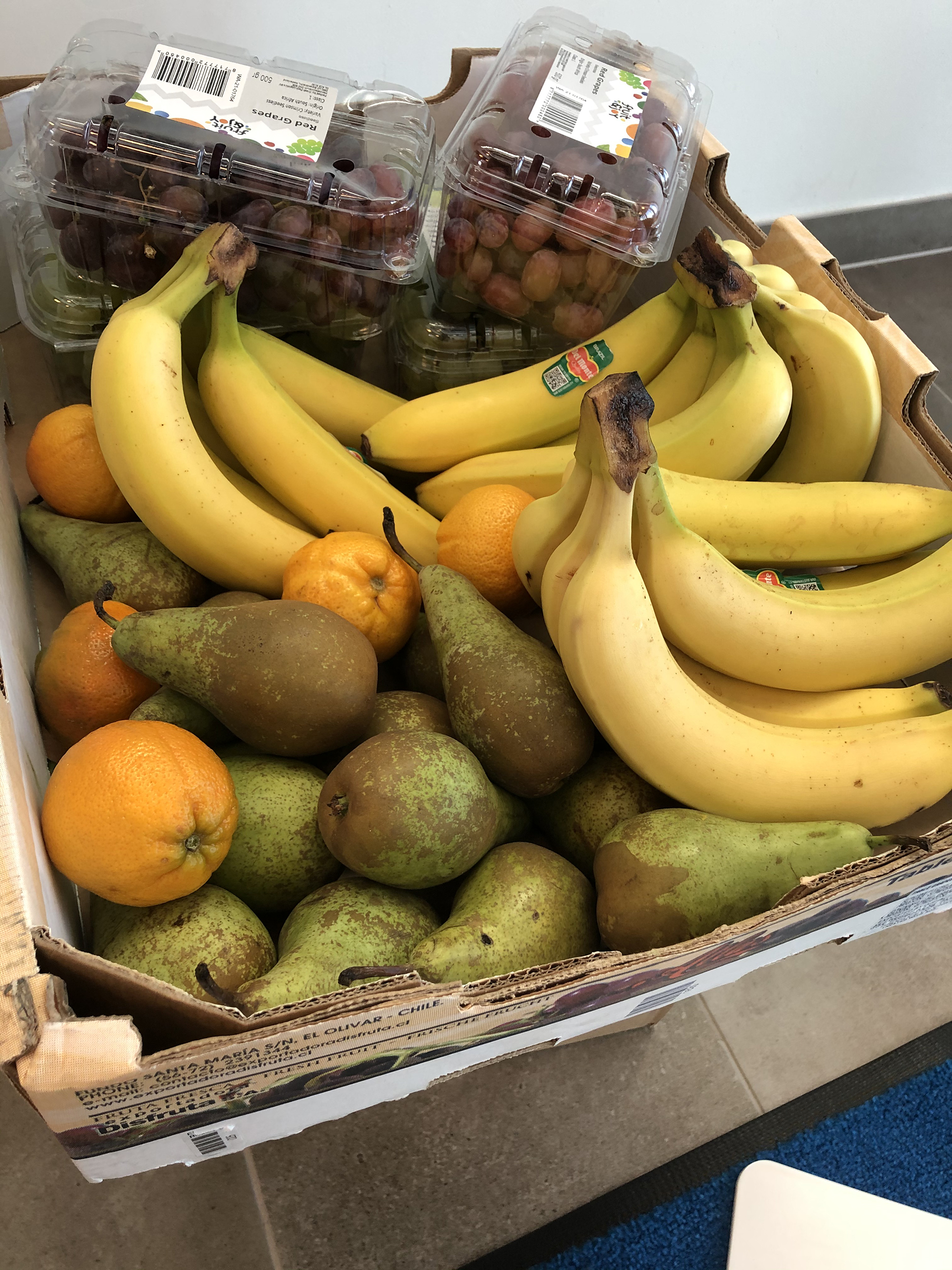 Proviantering 3656 Web