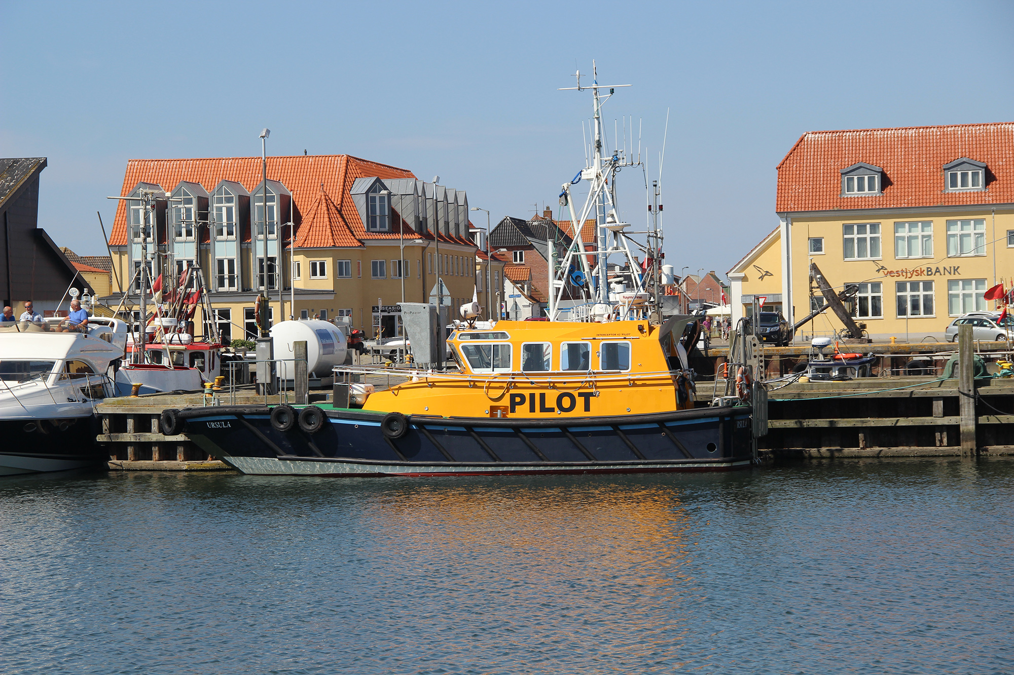 Pilot 3686 Web